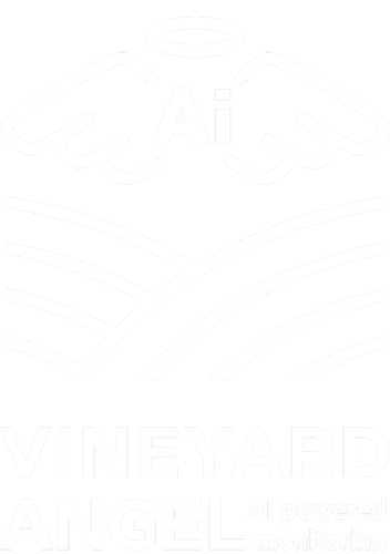 Vineyard Angel logo